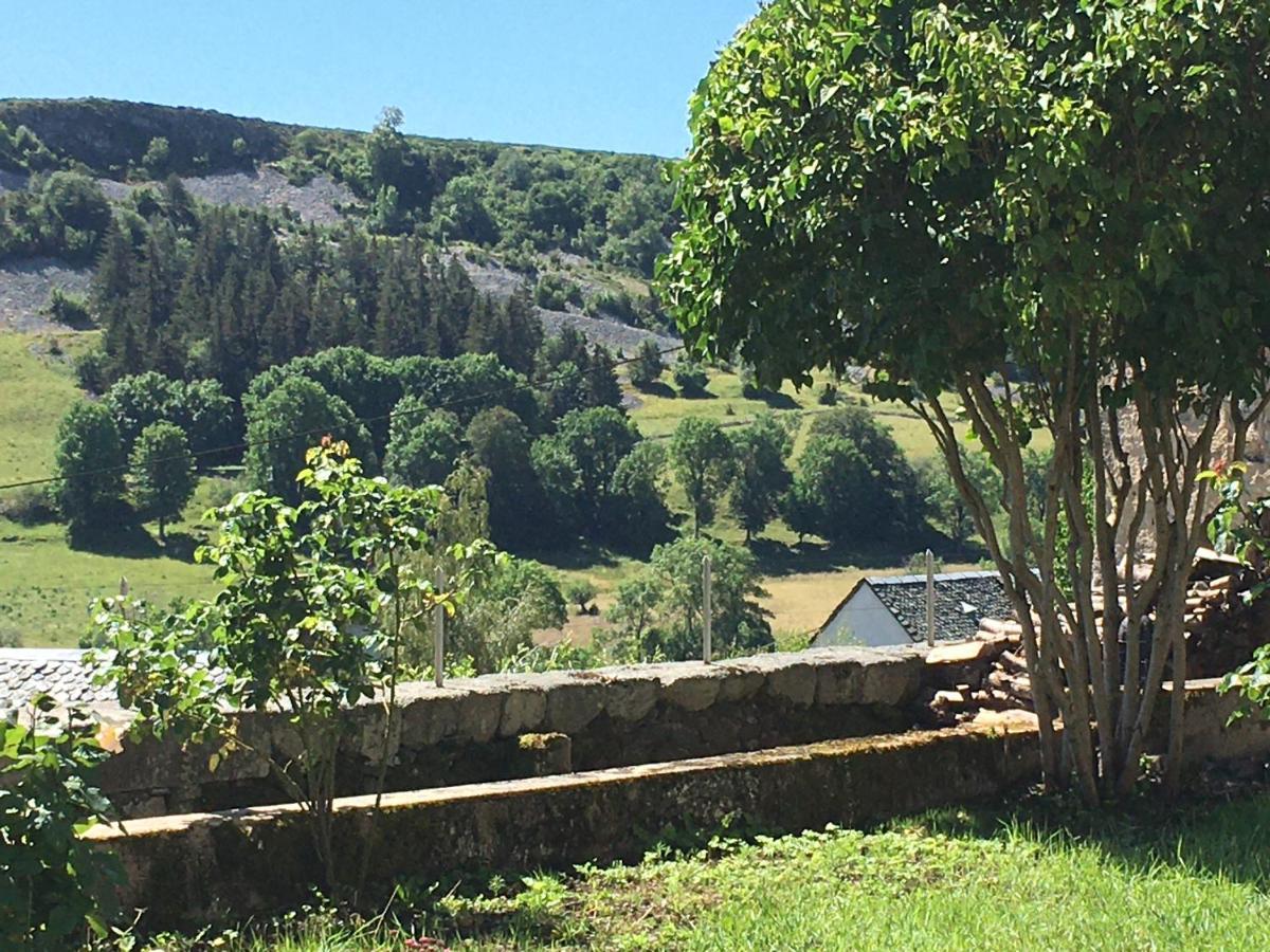 La Cure Grande Maison De Charme De 2 A 14 Personnes Saint-Urcize Esterno foto