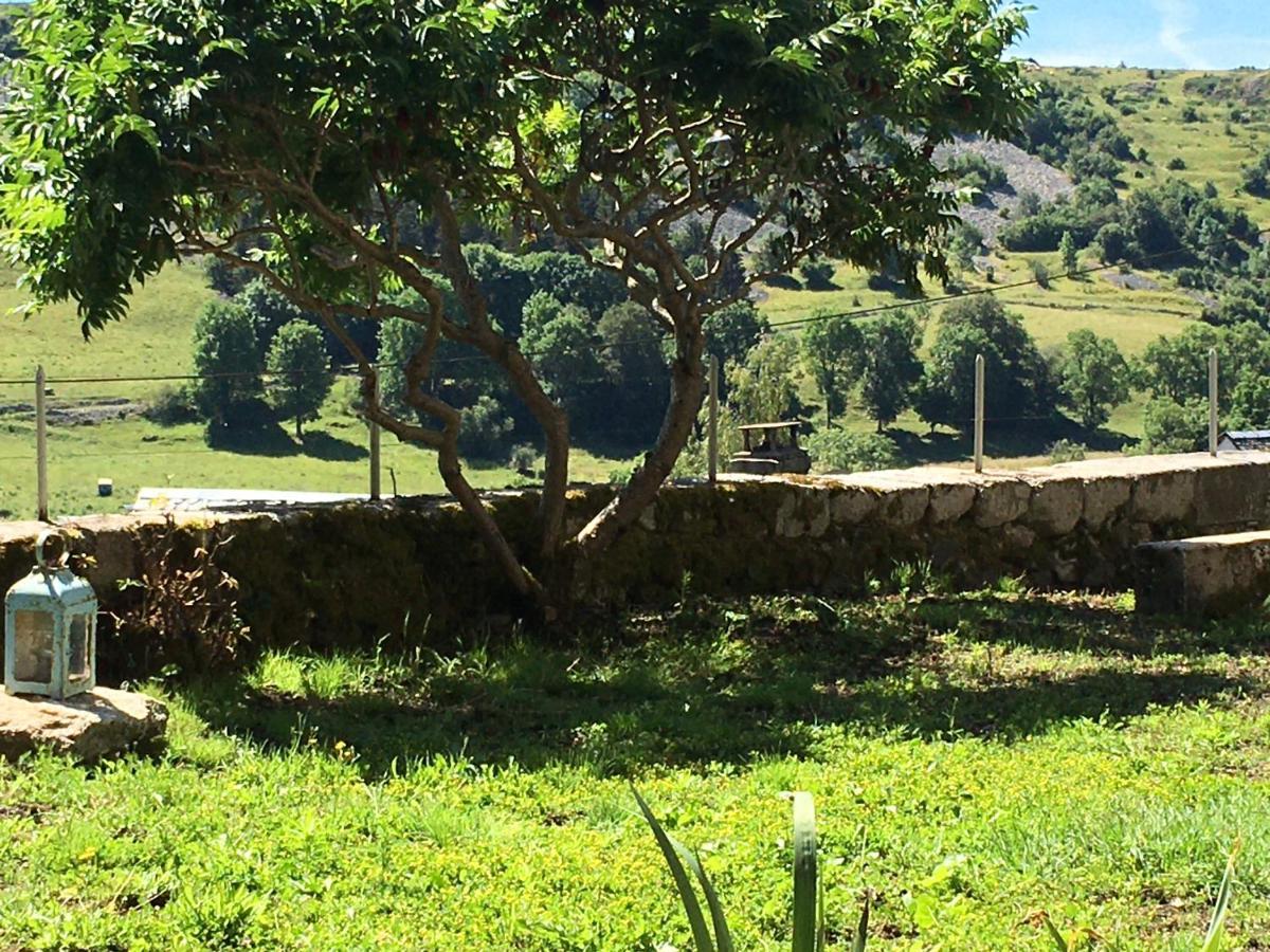La Cure Grande Maison De Charme De 2 A 14 Personnes Saint-Urcize Esterno foto