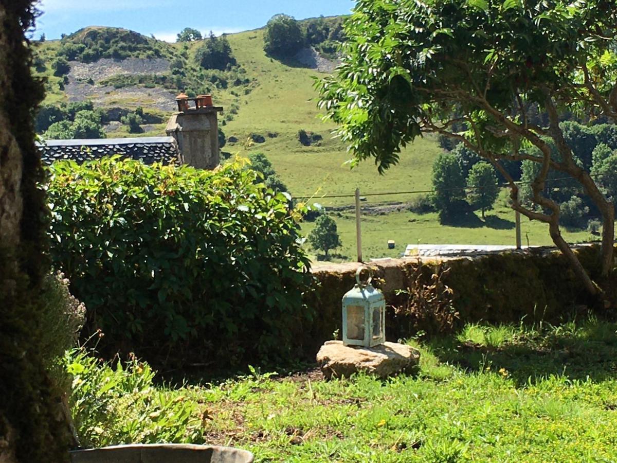 La Cure Grande Maison De Charme De 2 A 14 Personnes Saint-Urcize Esterno foto