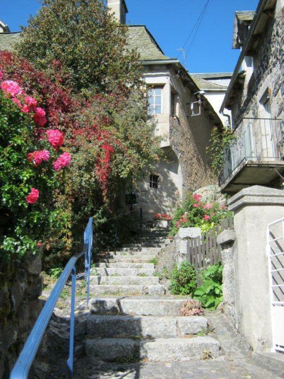 La Cure Grande Maison De Charme De 2 A 14 Personnes Saint-Urcize Esterno foto